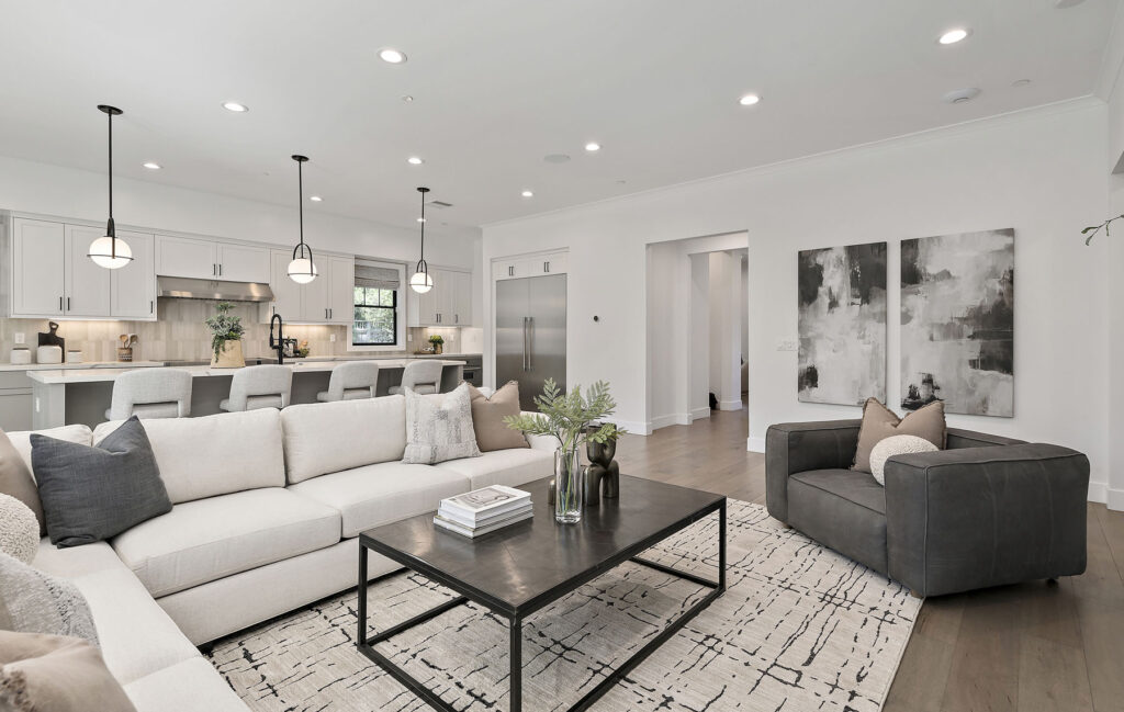 Living Room - Kitchen