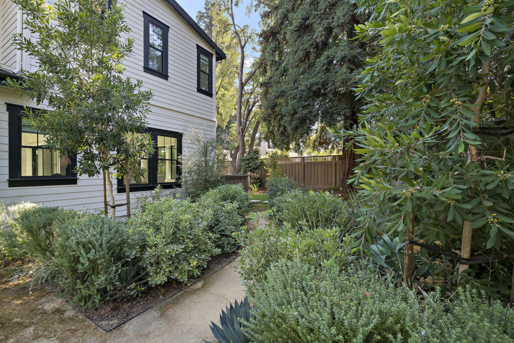 Side Yard